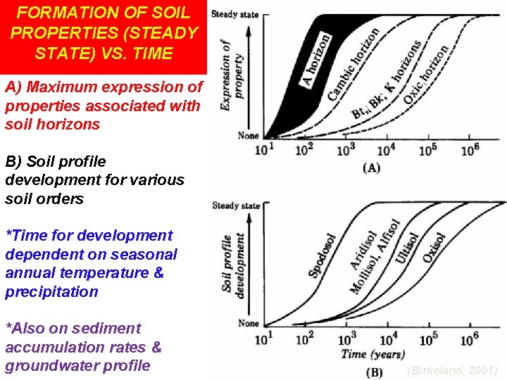 FORMATION OF SOIL PROPERTIES (STEADY STATE) VS. TIME A) Maximum expression of properties associated