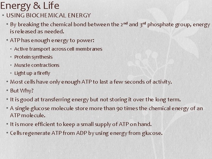 Energy & Life • USING BIOCHEMICAL ENERGY • By breaking the chemical bond between