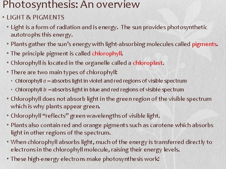 Photosynthesis: An overview • LIGHT & PIGMENTS • Light is a form of radiation