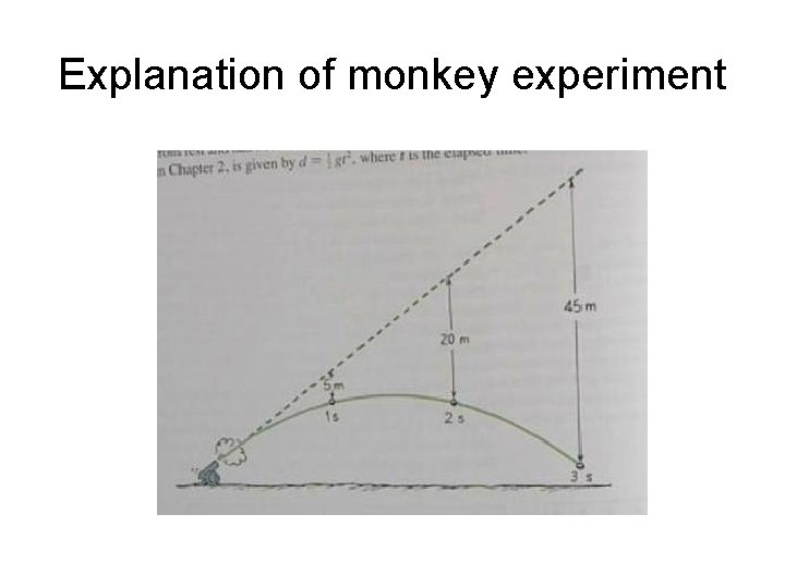 Explanation of monkey experiment 