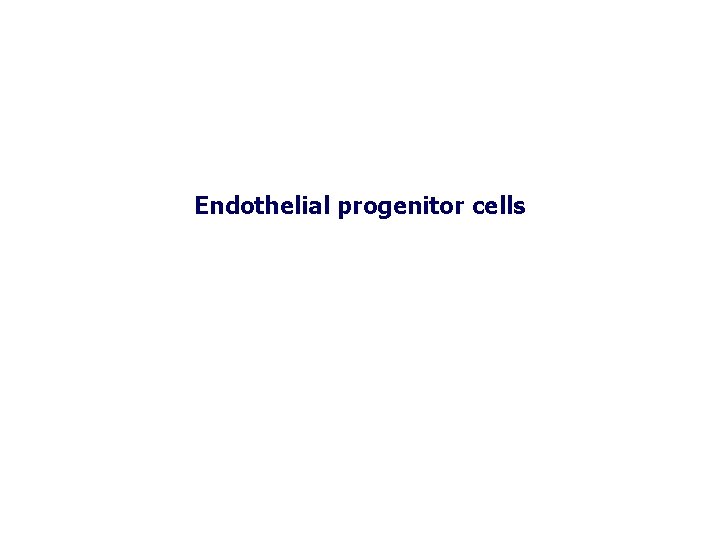 Endothelial progenitor cells 