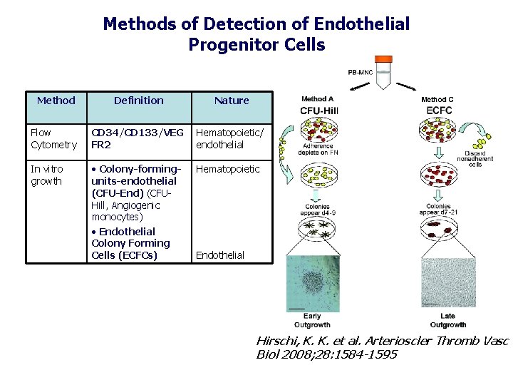 Methods of Detection of Endothelial Progenitor Cells Method Definition Nature Flow Cytometry CD 34/CD