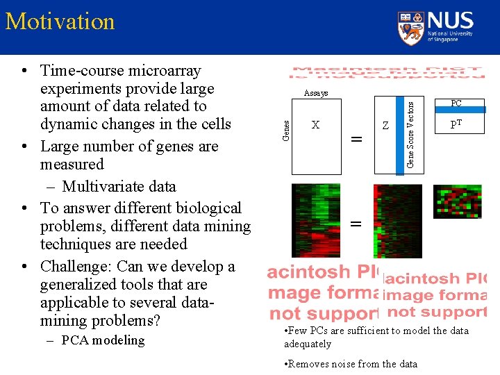 Motivation – PCA modeling X = Z Gene Score Vectors Assays Genes • Time-course