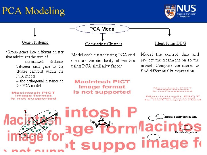 PCA Modeling PCA Model Gene Clustering • Group genes into different cluster that minimizes