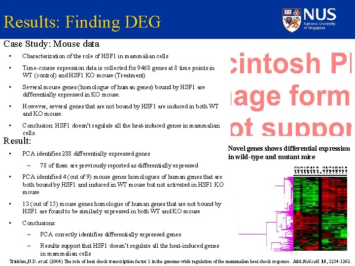 Results: Finding DEG Case Study: Mouse data • Characterization of the role of HSF