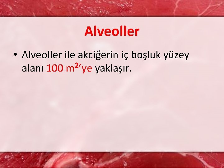 Alveoller • Alveoller ile akciğerin iç boşluk yüzey alanı 100 m 2’ye yaklaşır. 