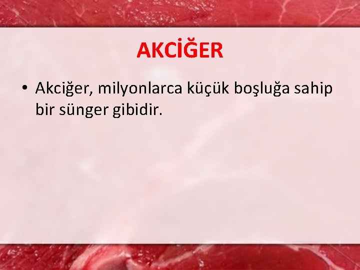 AKCİĞER • Akciğer, milyonlarca küçük boşluğa sahip bir sünger gibidir. 