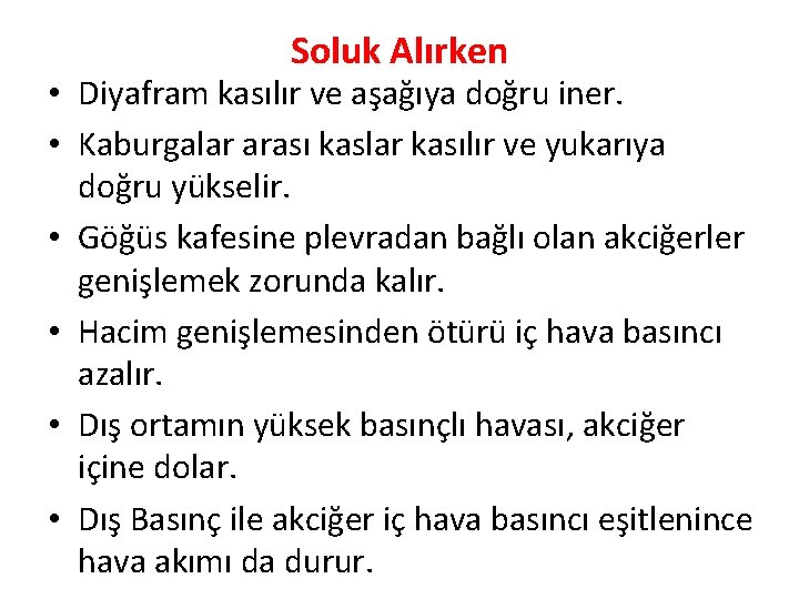 Soluk Alırken • Diyafram kasılır ve aşağıya doğru iner. • Kaburgalar arası kaslar kasılır