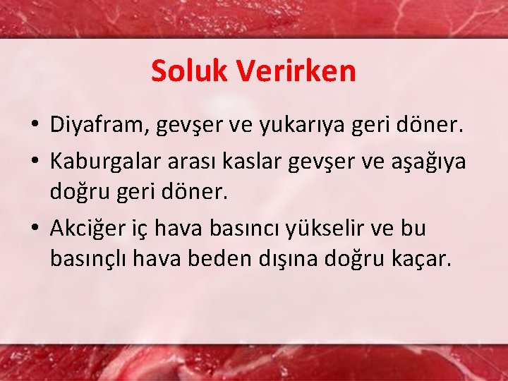 Soluk Verirken • Diyafram, gevşer ve yukarıya geri döner. • Kaburgalar arası kaslar gevşer