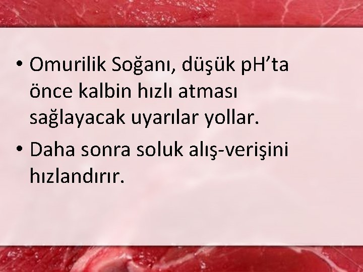  • Omurilik Soğanı, düşük p. H’ta önce kalbin hızlı atması sağlayacak uyarılar yollar.