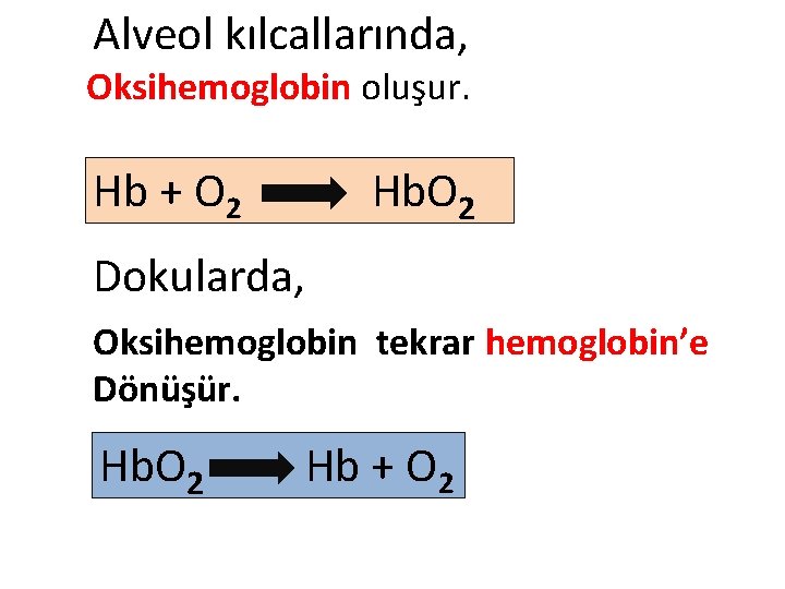 Alveol kılcallarında, Oksihemoglobin oluşur. Hb + O 2 Hb. O 2 Dokularda, Oksihemoglobin tekrar