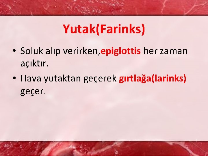 Yutak(Farinks) • Soluk alıp verirken, epiglottis her zaman açıktır. • Hava yutaktan geçerek gırtlağa(larinks)