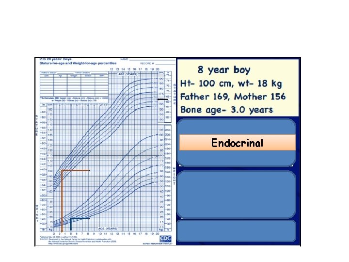 Endocrinal 