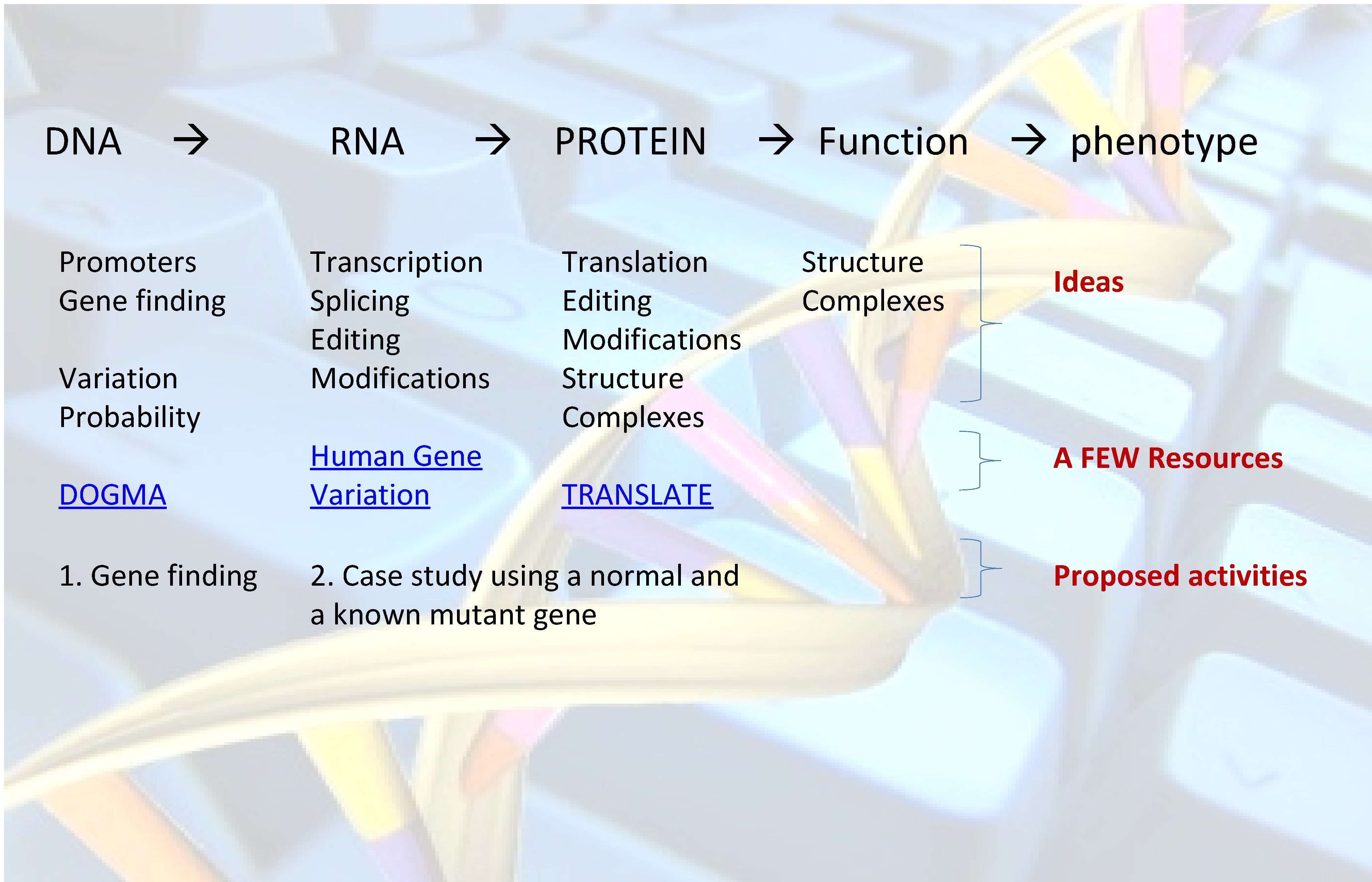 DNA Promoters Gene finding Variation Probability DOGMA 1. Gene finding RNA PROTEIN Transcription Splicing
