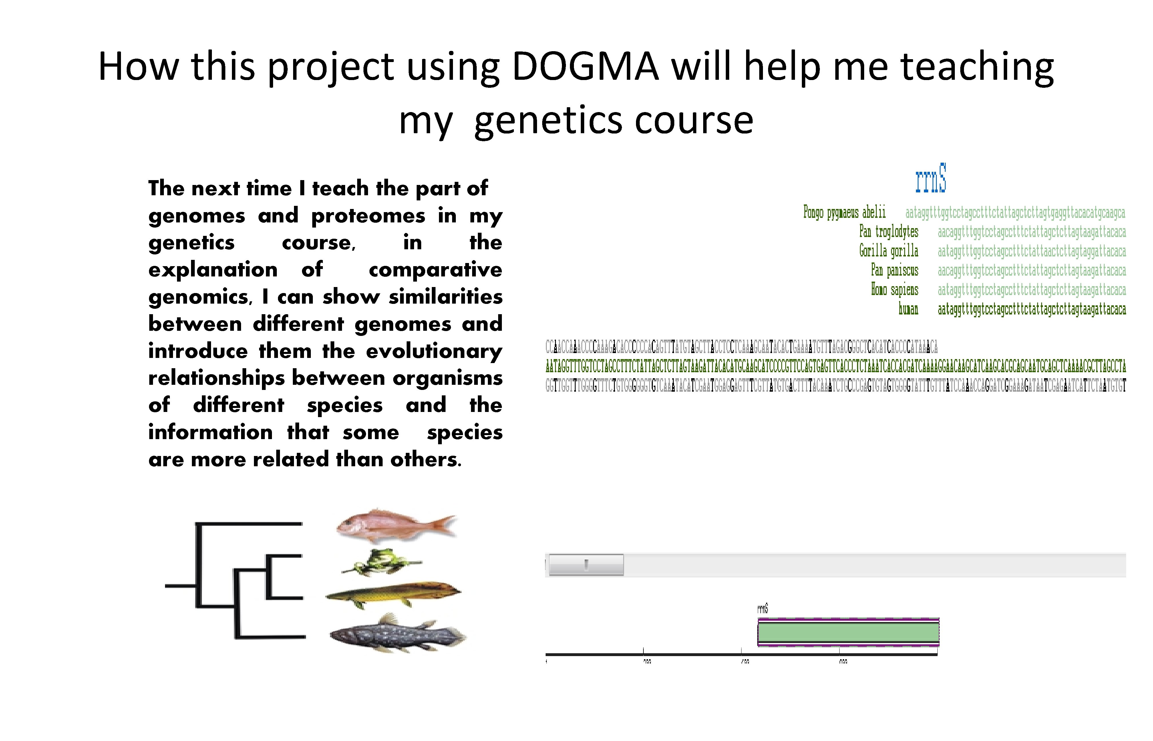 How this project using DOGMA will help me teaching my genetics course The next