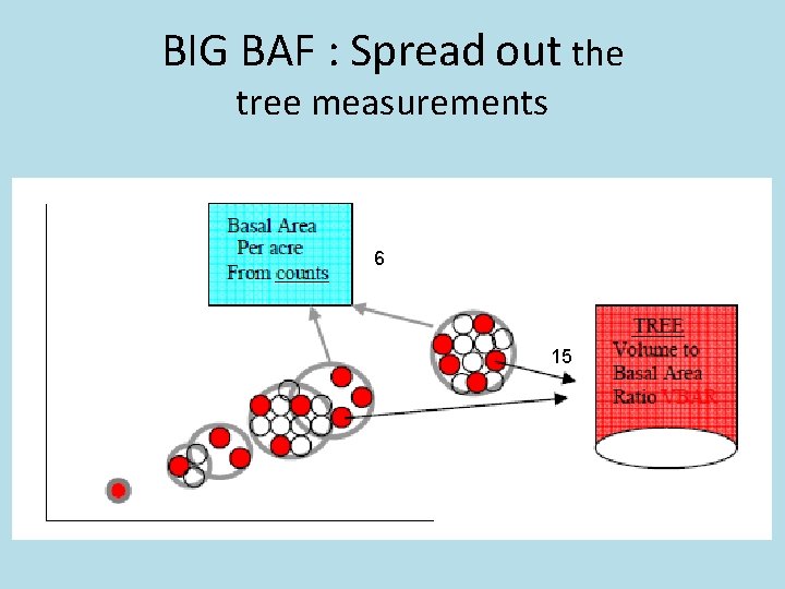 BIG BAF : Spread out the tree measurements 6 15 