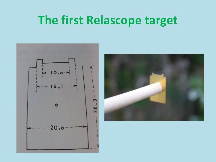 The first Relascope target 