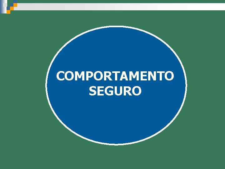 COMPORTAMENTO SEGURO 