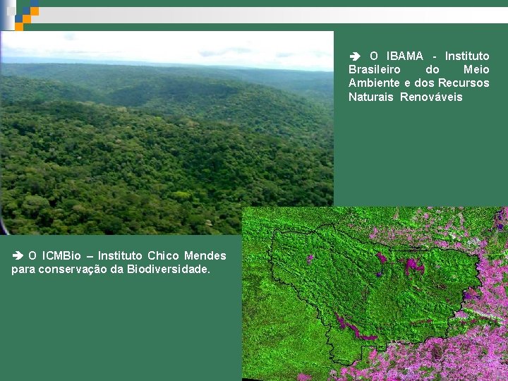  O IBAMA - Instituto Brasileiro do Meio Ambiente e dos Recursos Naturais Renováveis