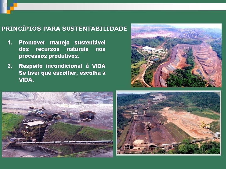 PRINCÍPIOS PARA SUSTENTABILIDADE 1. Promover manejo sustentável dos recursos naturais nos processos produtivos. 2.