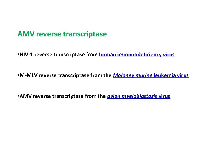 AMV reverse transcriptase • HIV-1 reverse transcriptase from human immunodeficiency virus • M-MLV reverse