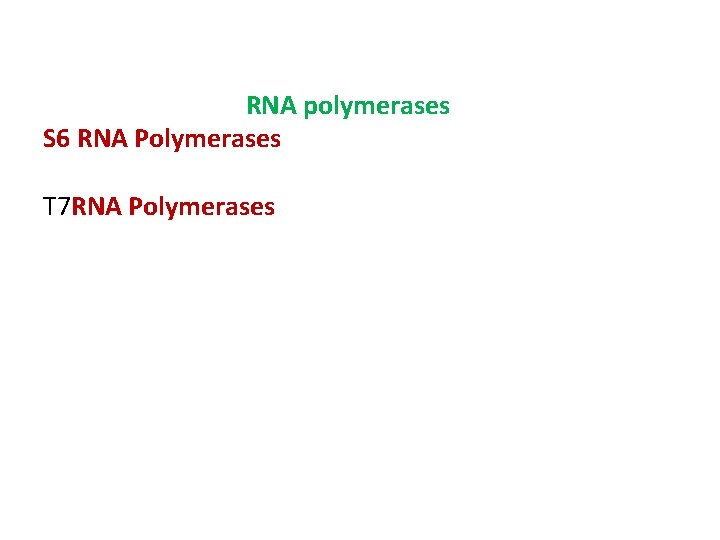 RNA polymerases S 6 RNA Polymerases T 7 RNA Polymerases 