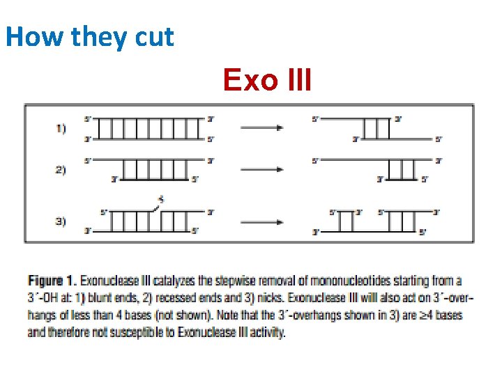 How they cut Exo III 