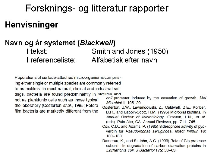 Forsknings- og litteratur rapporter Henvisninger Navn og år systemet (Blackwell) I tekst: Smith and