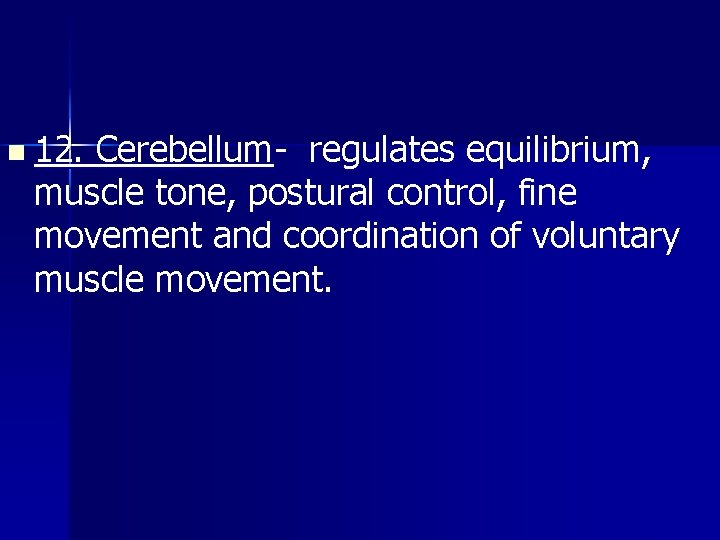 n 12. Cerebellum- regulates equilibrium, muscle tone, postural control, fine movement and coordination of
