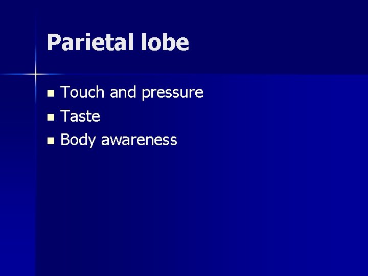 Parietal lobe Touch and pressure n Taste n Body awareness n 