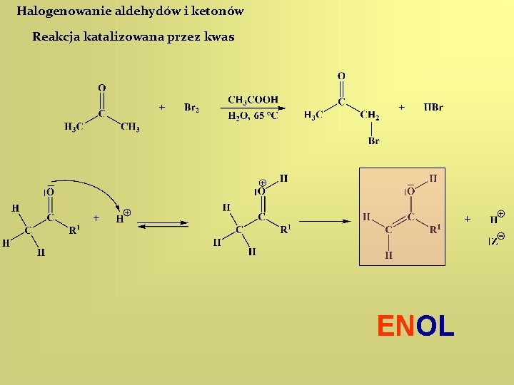 Halogenowanie aldehydów i ketonów Reakcja katalizowana przez kwas ENOL 