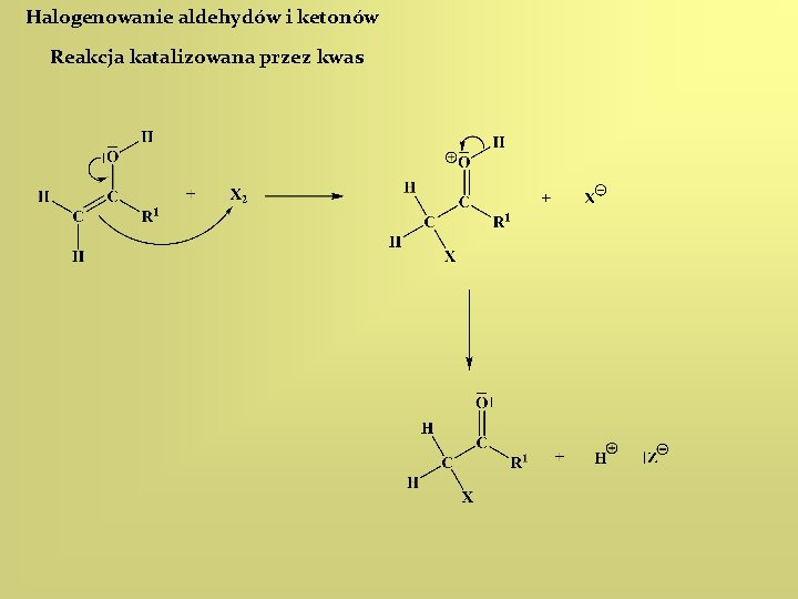Halogenowanie aldehydów i ketonów Reakcja katalizowana przez kwas 