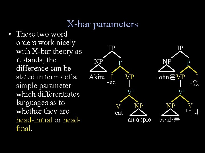 X-bar parameters • These two word orders work nicely IP IP with X-bar theory