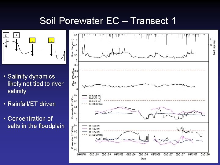 Soil Porewater EC – Transect 1 D F C E • Salinity dynamics likely