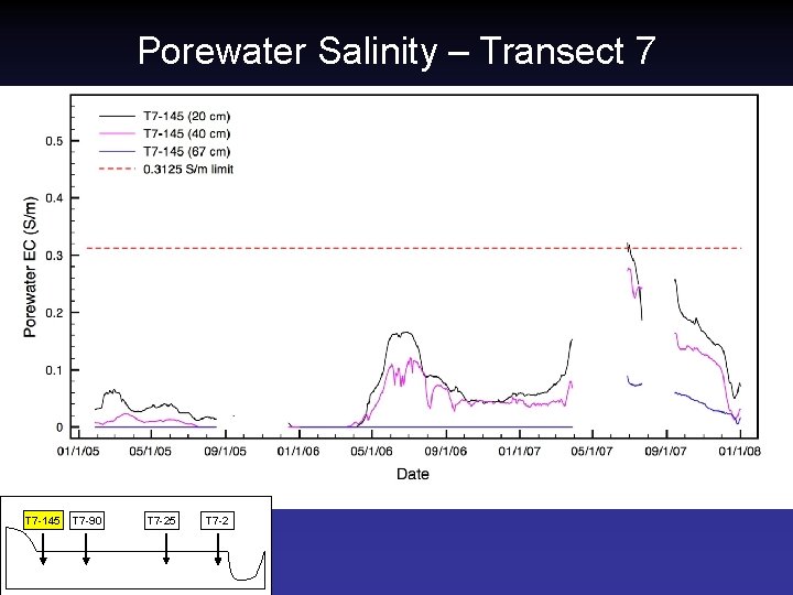 Porewater Salinity – Transect 7 T 7 -145 T 7 -90 T 7 -25