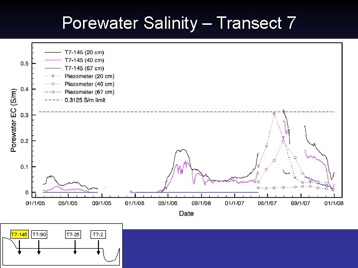 Porewater Salinity – Transect 7 T 7 -145 T 7 -90 T 7 -25