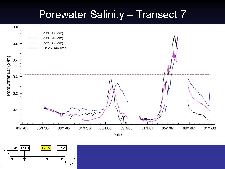 Porewater Salinity – Transect 7 T 7 -145 T 7 -90 T 7 -25