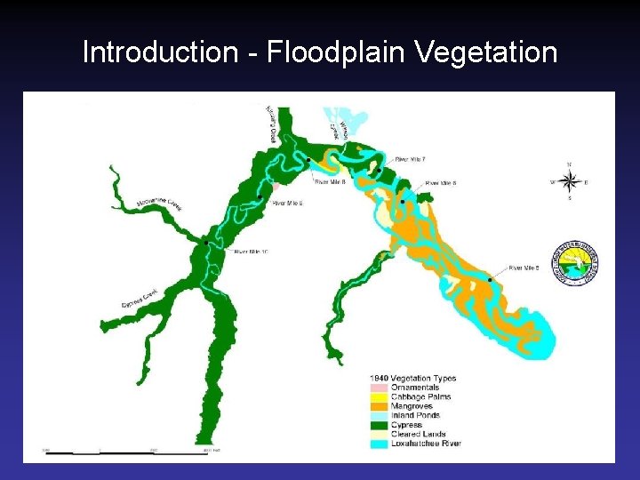 Introduction - Floodplain Vegetation 