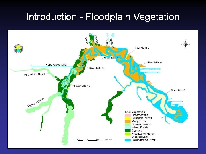 Introduction - Floodplain Vegetation 