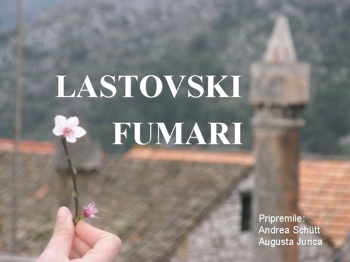 LASTOVSKI FUMARI Pripremile: Andrea Schütt Augusta Jurica 