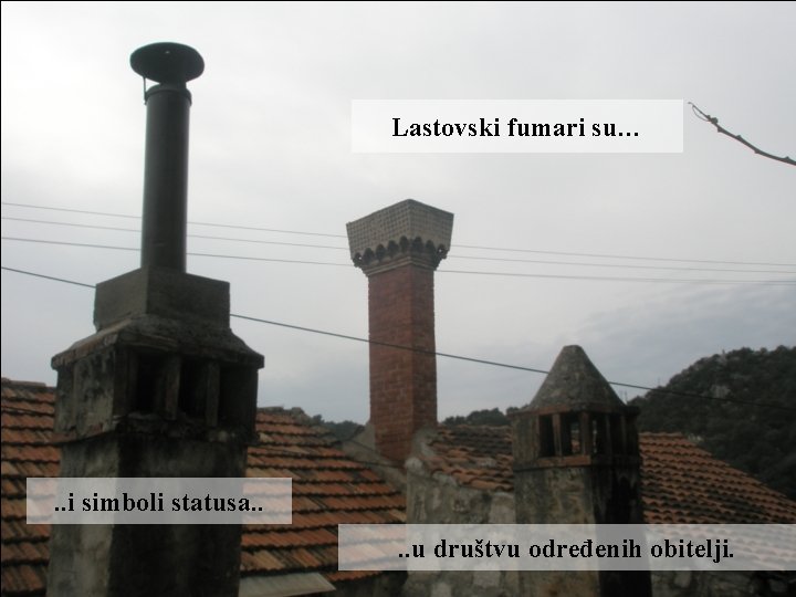 Lastovski fumari su… . . i simboli statusa. . u društvu određenih obitelji. 