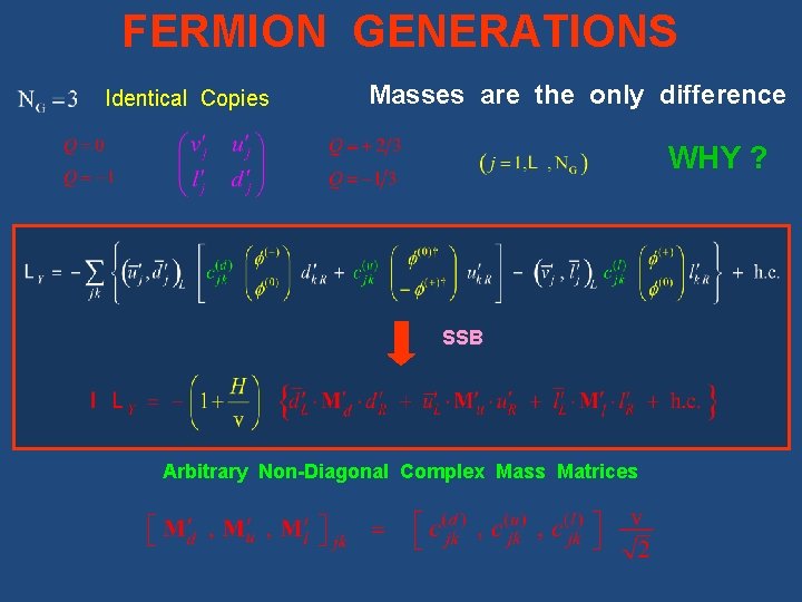 FERMION GENERATIONS Identical Copies Masses are the only difference WHY ? SSB Arbitrary Non-Diagonal