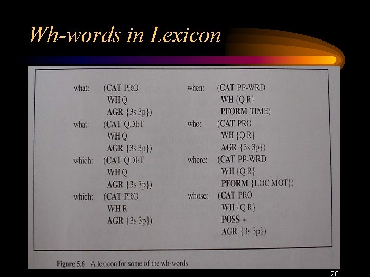 Wh-words in Lexicon 20 