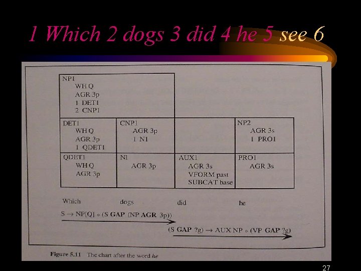 1 Which 2 dogs 3 did 4 he 5 see 6 27 