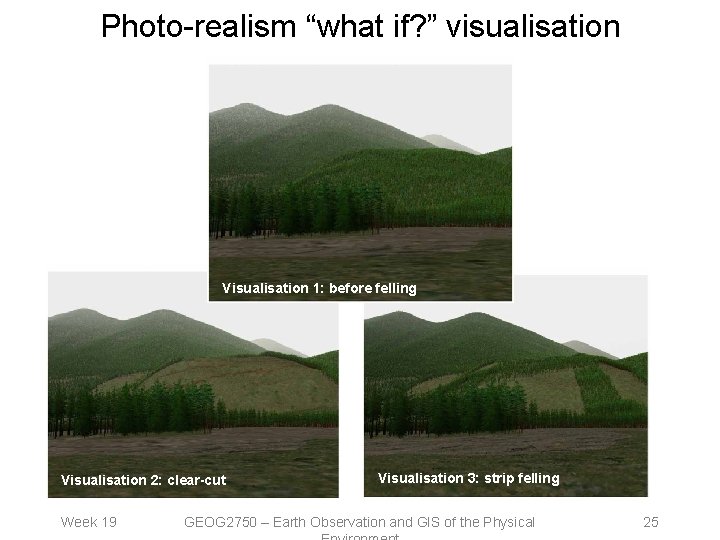 Photo-realism “what if? ” visualisation Visualisation 1: before felling Visualisation 2: clear-cut Week 19