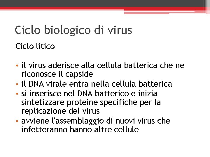 Ciclo biologico di virus Ciclo litico • il virus aderisce alla cellula batterica che