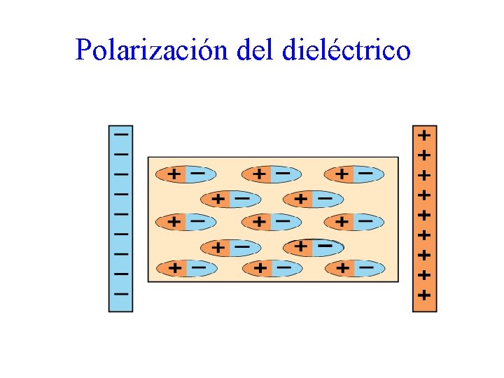 Polarización del dieléctrico 28 