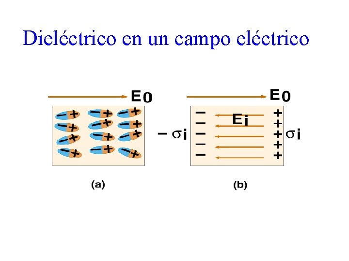 Dieléctrico en un campo eléctrico 29 