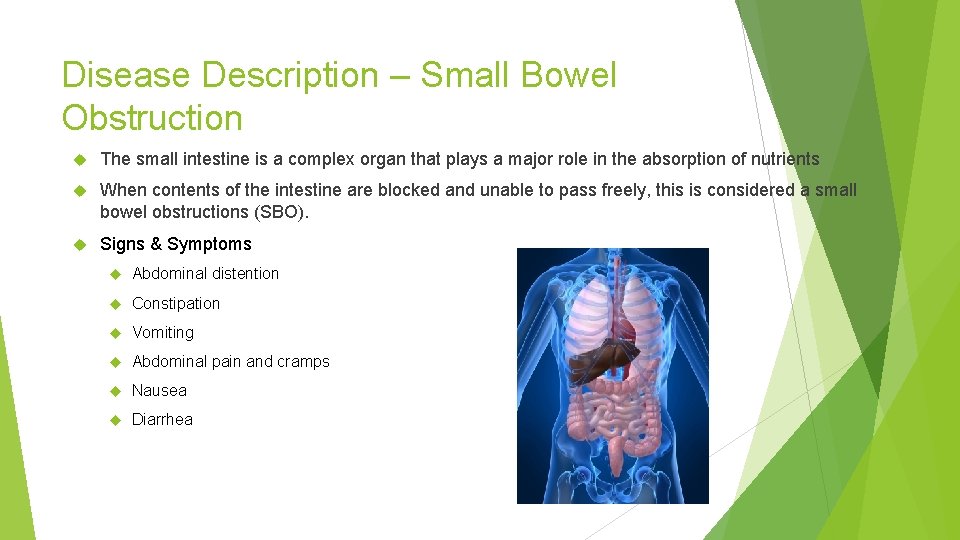 Disease Description – Small Bowel Obstruction The small intestine is a complex organ that