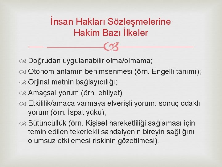 İnsan Hakları Sözleşmelerine Hakim Bazı İlkeler Doğrudan uygulanabilir olma/olmama; Otonom anlamın benimsenmesi (örn. Engelli